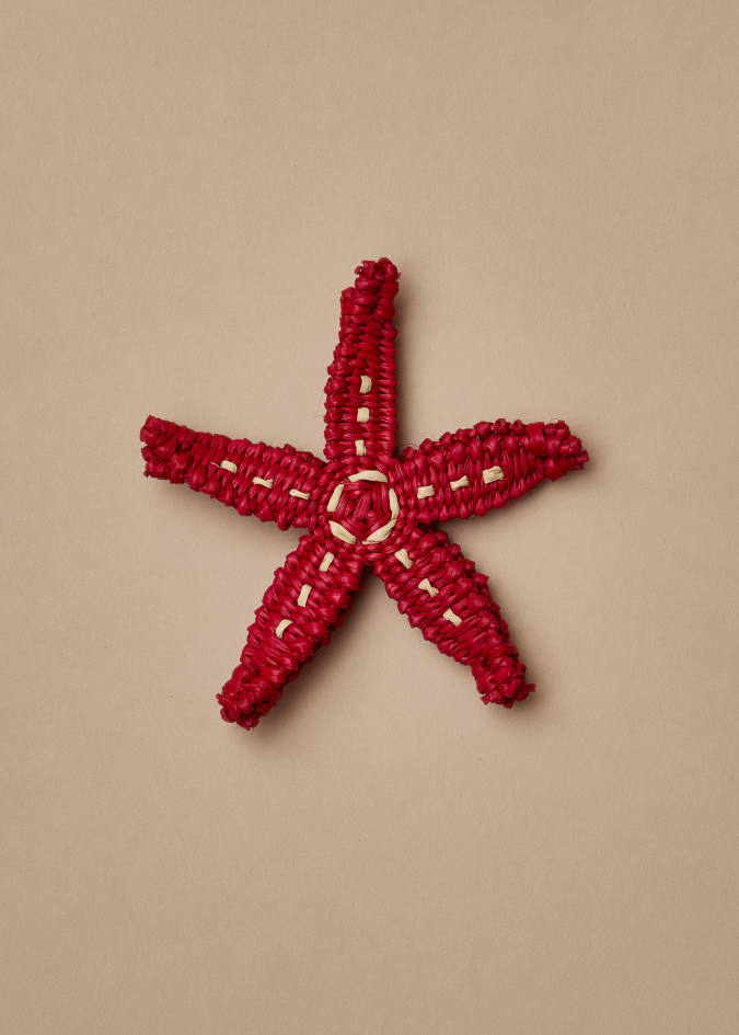 Starfish big pin Red